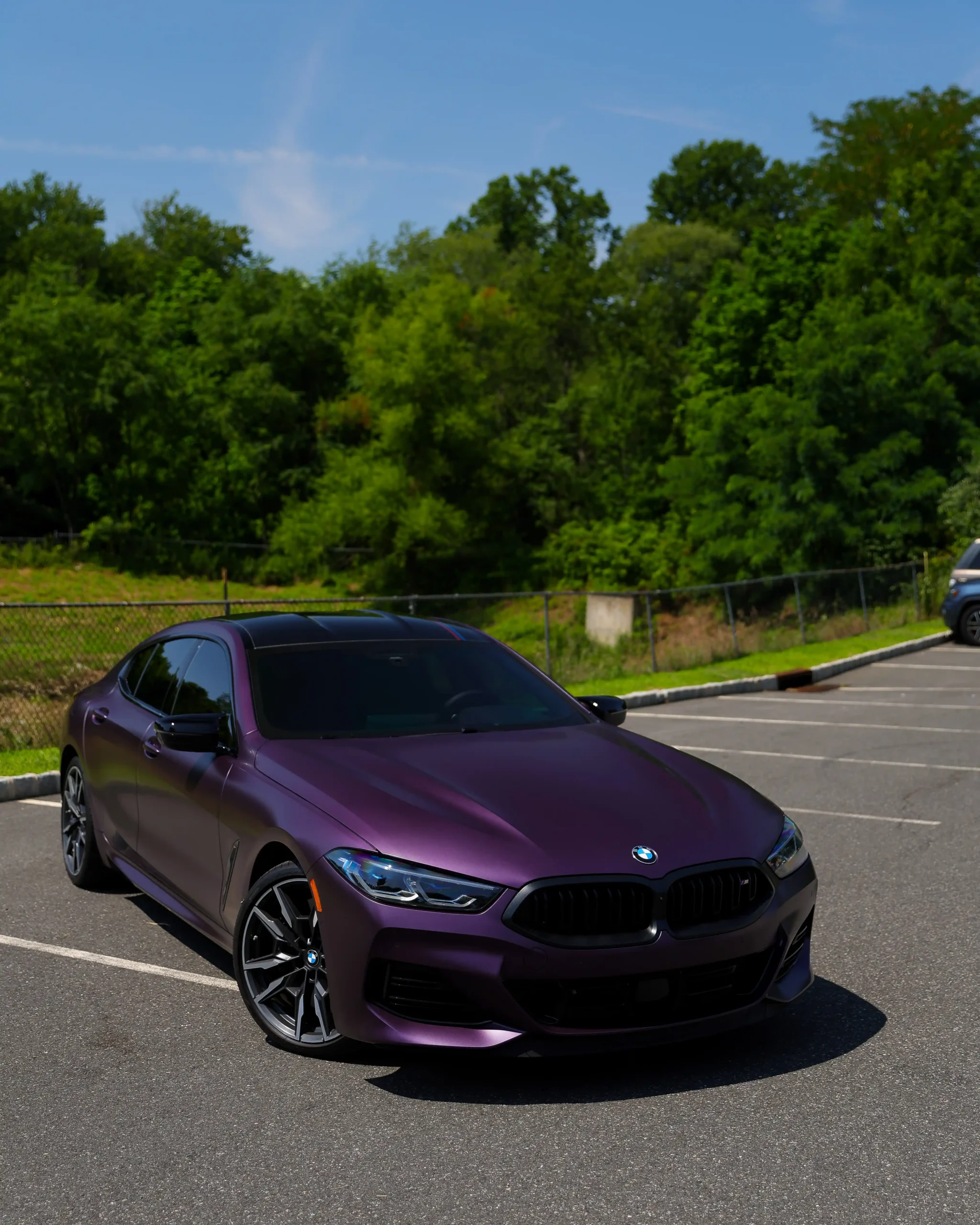 BMW M850i HERITAGE EDITION