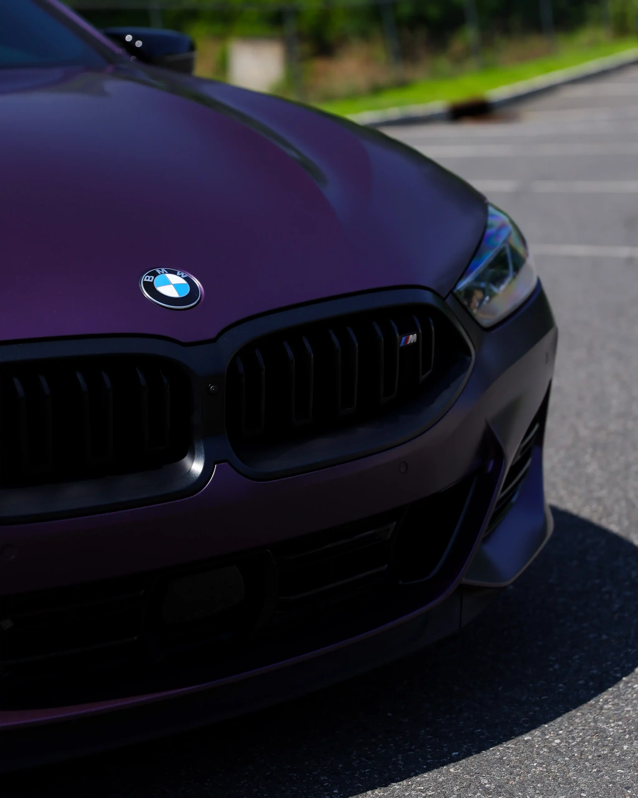 bmw-m850i-heritage-edition-6